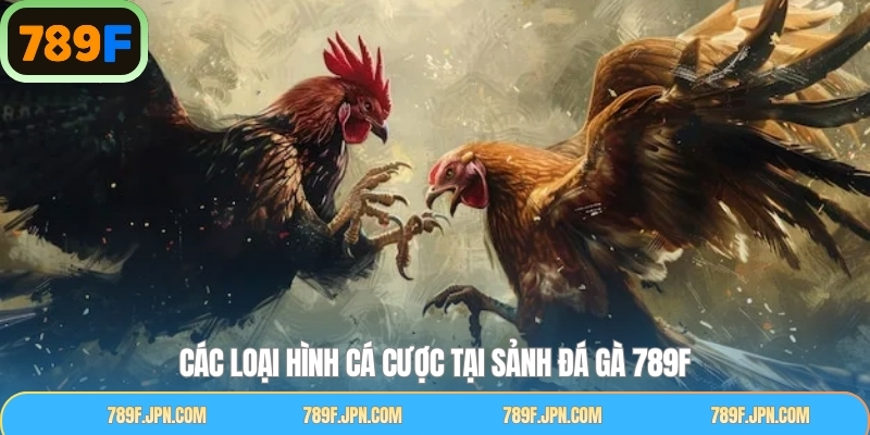 Tổng hợp các loại đá gà đỉnh cao phổ biến nhất tại 789F