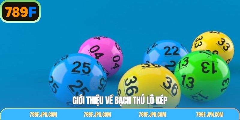 Thông tin chung về bạch thủ số kép