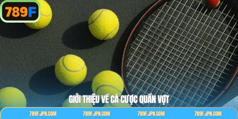 Tìm hiểu chuyên mục cá cược quần vợt