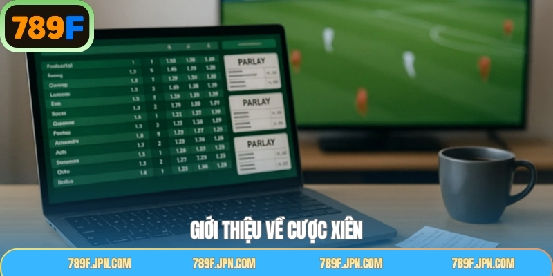 Điểm qua về cách đặt cược trong xiên