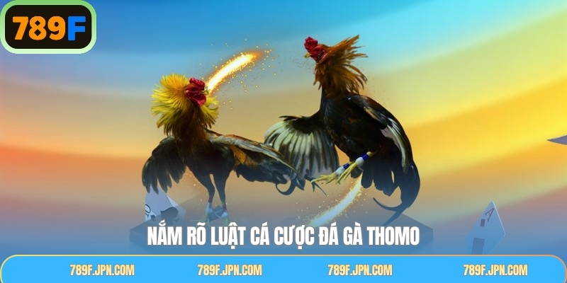 Nắm rõ về luật chơi khi tham gia trong đá gà Thomo