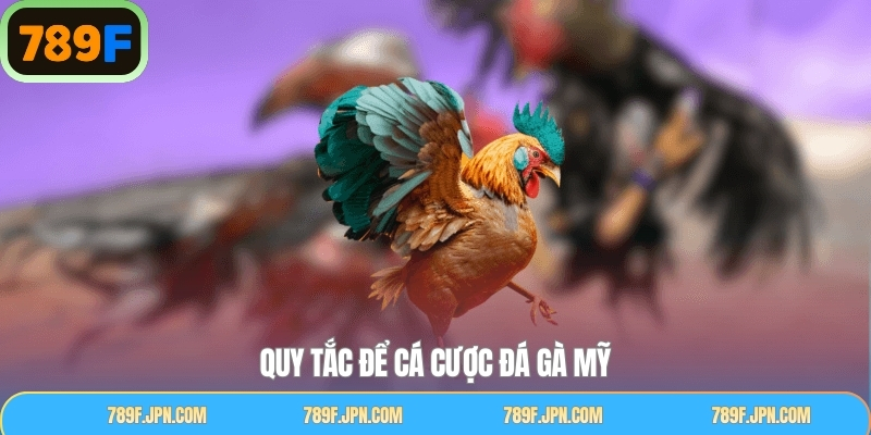 Luật lệ nên nắm trước khi vào sàn đấu đá gà Mỹ