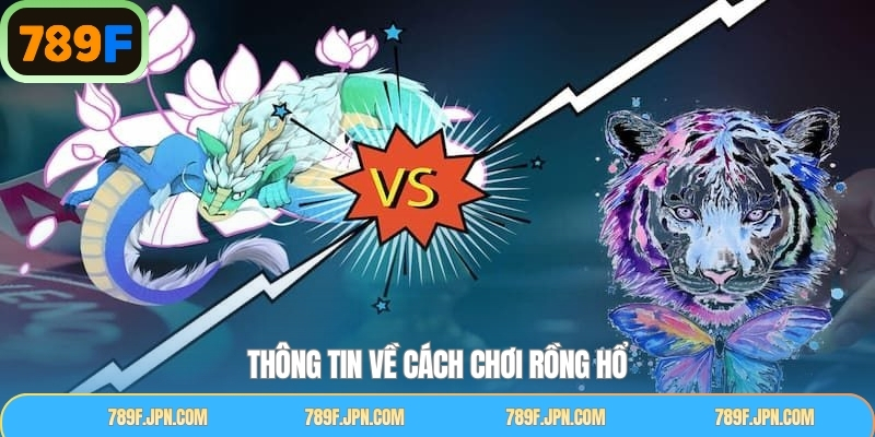Khám phá khái niệm cách chơi rồng hổ