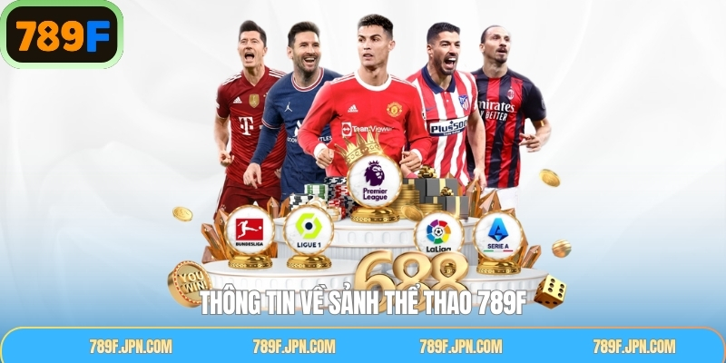 Khái quát chi tiết sân chơi thể thao 789F