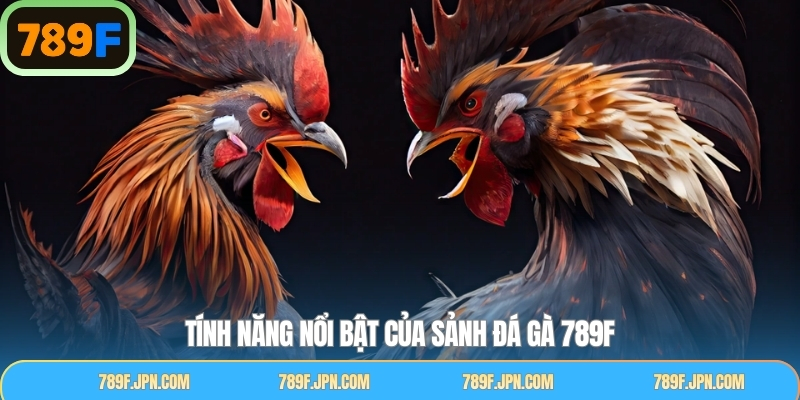 Các tính năng được nêu ra trong sảnh cược đá gà tại 789F