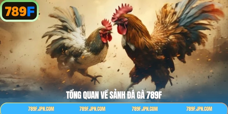Khái niệm chi tiết sảnh đá gà 789F