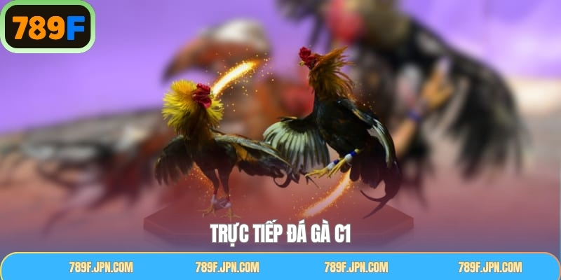 Trực Tiếp Đá Gà C1 - Trải Nghiệm Cược Kịch Tính Và Hấp Dẫn